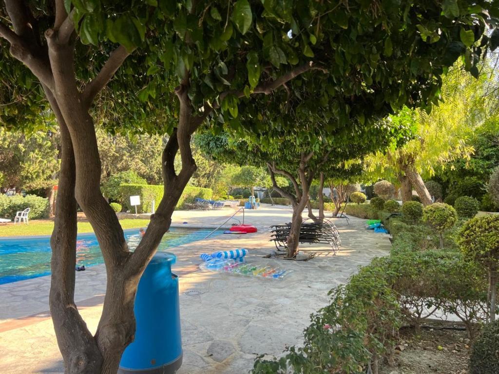 Cozy Apartment In Paphos Beautiful Complex Eksteriør bilde